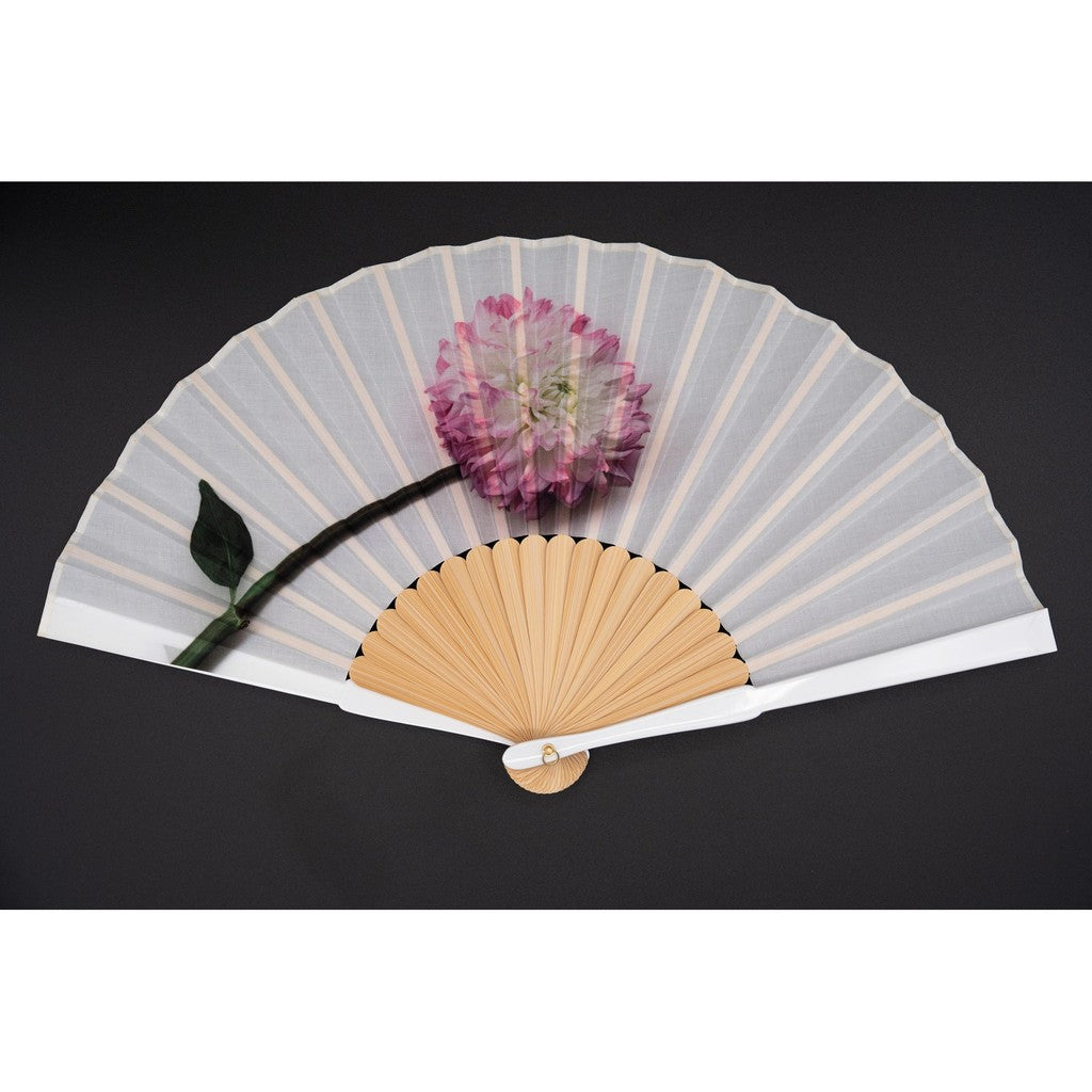 Japanese Bamboo Hand Fan – Fabric Folding Real Flower Dahlia (Limited Bonus Item), Gift