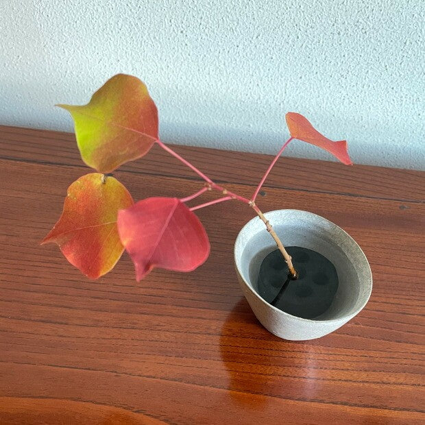 Japanese Ikebana Flower Frog – Bamboo Charcoal Kenzan