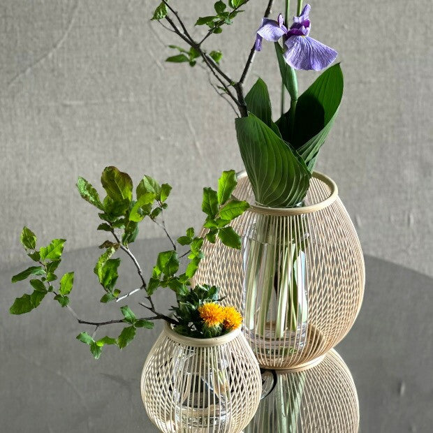 Japanese Uchiwa – Suruga Sensuji Tsubomi Vase, Hand Fan, Gift